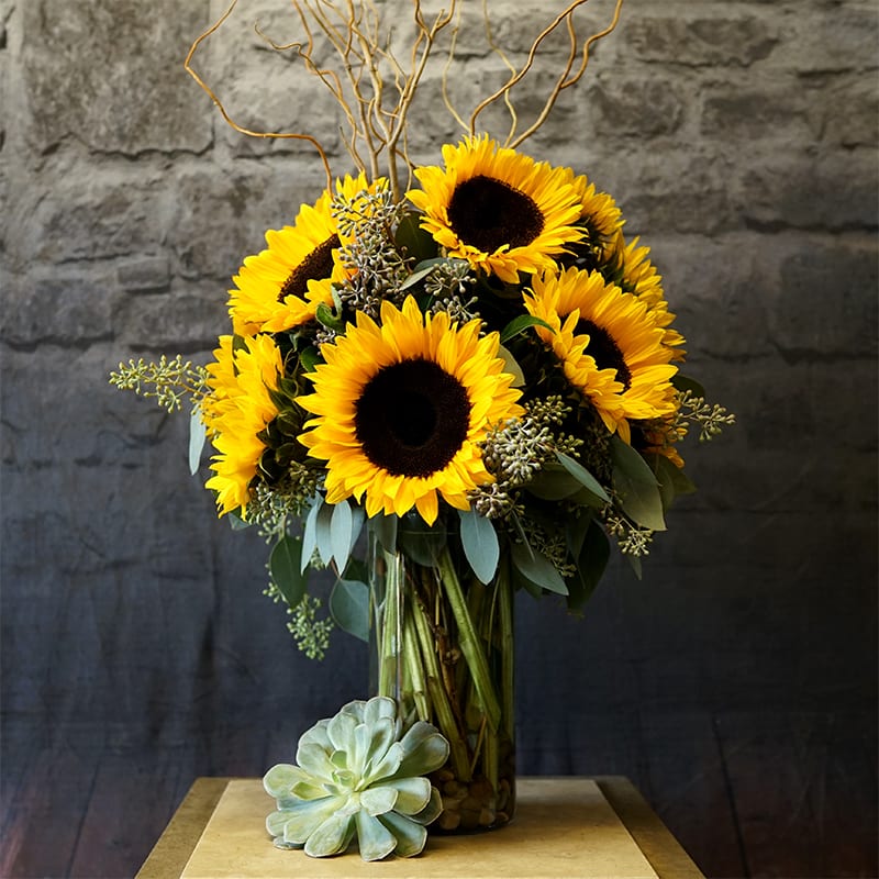California Dreaming - “California Dreaming” is a radiant arrangement of golden sunflowers accented with lush greenery and curly willow, designed in a tall cylinder glass vase. Bright, bold, and full of West Coast autumn charm, this cheerful display brings a touch of sunshine to any space in Danville, CA. 