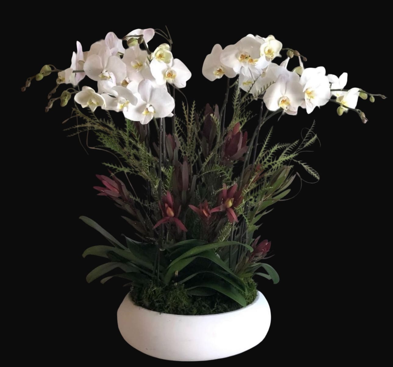Fall Phalaenopsis Orchid Fall Phalaenopsis Orchid - Fall Phalaenopsis Orchid