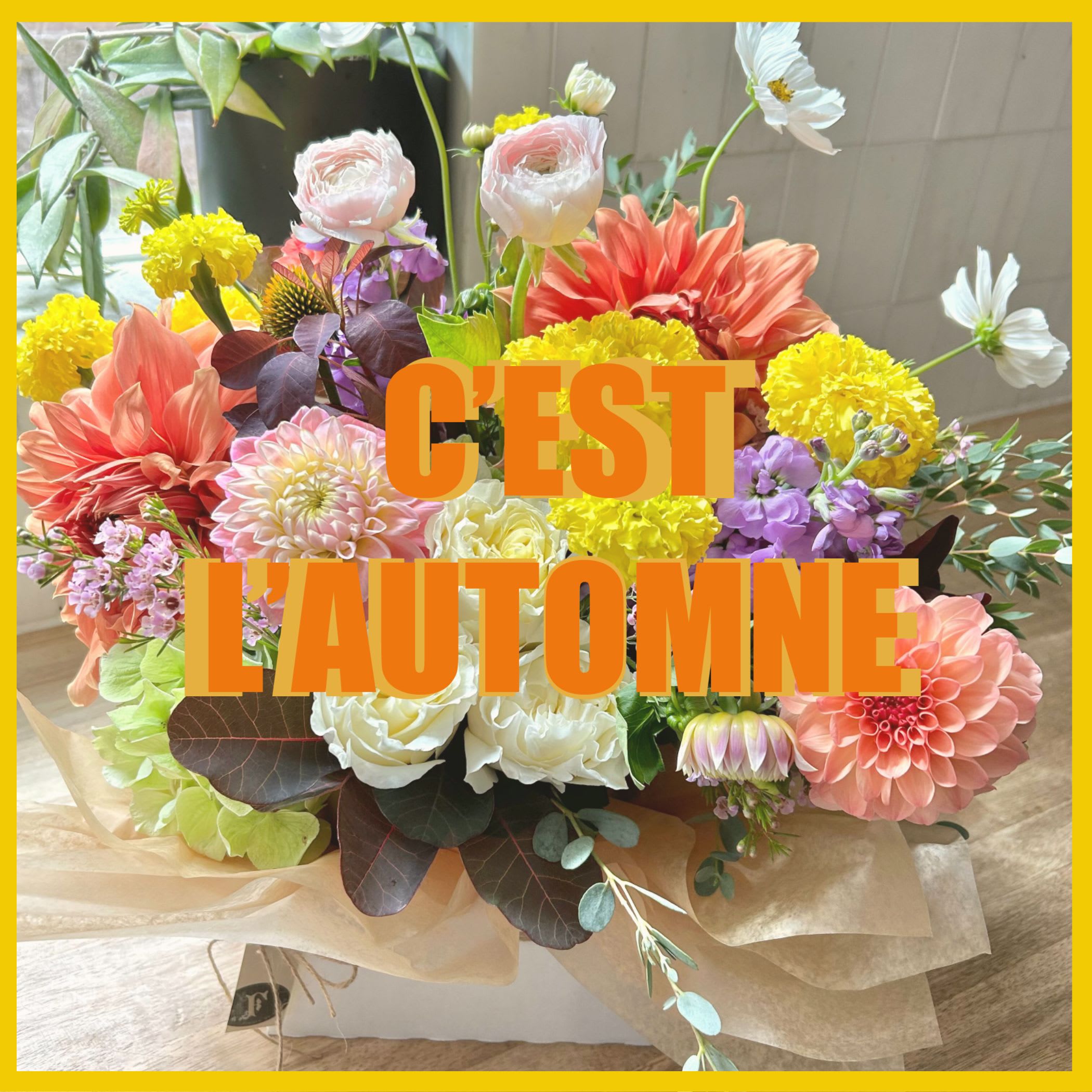 C’est L’ Automne C’est L’ Automne - Autumn arrangement filled with fresh blooms in vibrant fall colors. Most of locally sourced autumn flowers and foliage. Set in low compact style arrangement, inspired by nature.