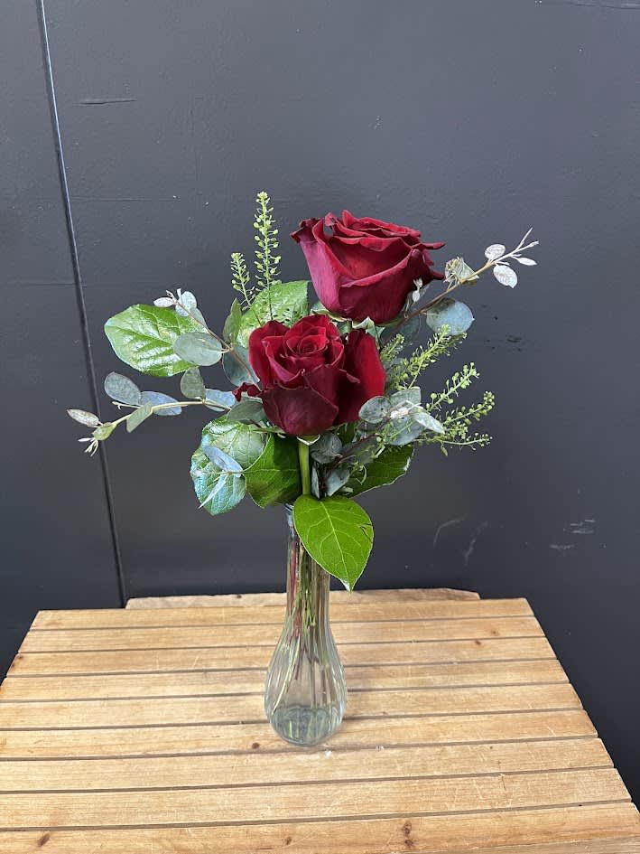 Simply Us – Two Red Roses in a Vase - Celebrate love in its purest form with our Simply Us Bouquet, featuring two classic red roses elegantly arranged in a keepsake vase with fresh greenery. Symbolizing a couple’s bond and devotion, this thoughtful gift is perfect for anniversaries, romantic surprises, or those “just because” moments.  Hand-delivered with care by Adorkable Flowers and Gifts, this sweet and simple gesture says “It’s you and me, always.”   Some stages of flower life may vary. (Example: Lilies may be more open than imaged.)  Flower shortages and product availability means that some substitutions will apply. Value will always be filled. This bouquet might include eucalyptus amongst the greenery. It may be toxic to pets including but not limited to cats and dogs if digested.
