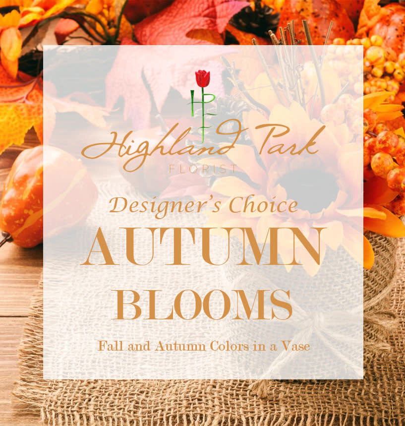 Designer's Choice Autumn Blooms Designer's Choice Autumn Blooms - Seasonal autumn flowers with greens and fillers arranged in a vase. *Please write in the special instructions, if you would prefer the Designer's Choice to be hand-tied into a bouquet (no vase) instead of in a vase.*