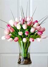 tulip splendor tulip splendor - tulip arrangement in vase about 15 white and blush tulips