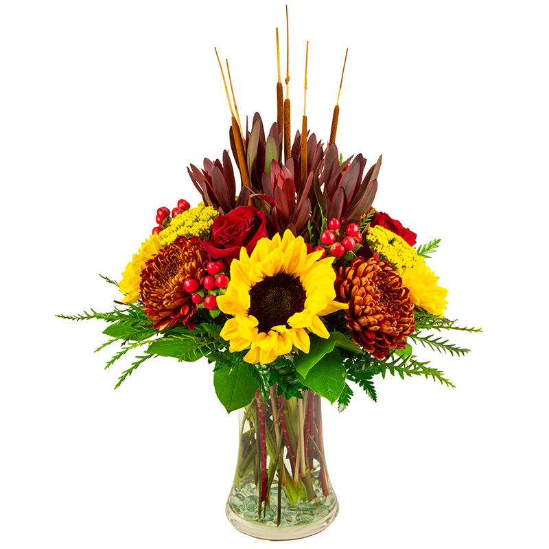 The Bronze Beauty The Bronze Beauty - Beautifully made with Sunflowers, Fall Mums, Red Hypericum Berries, Safari Sunset, Yarrow, Red Roses, and Cattails.