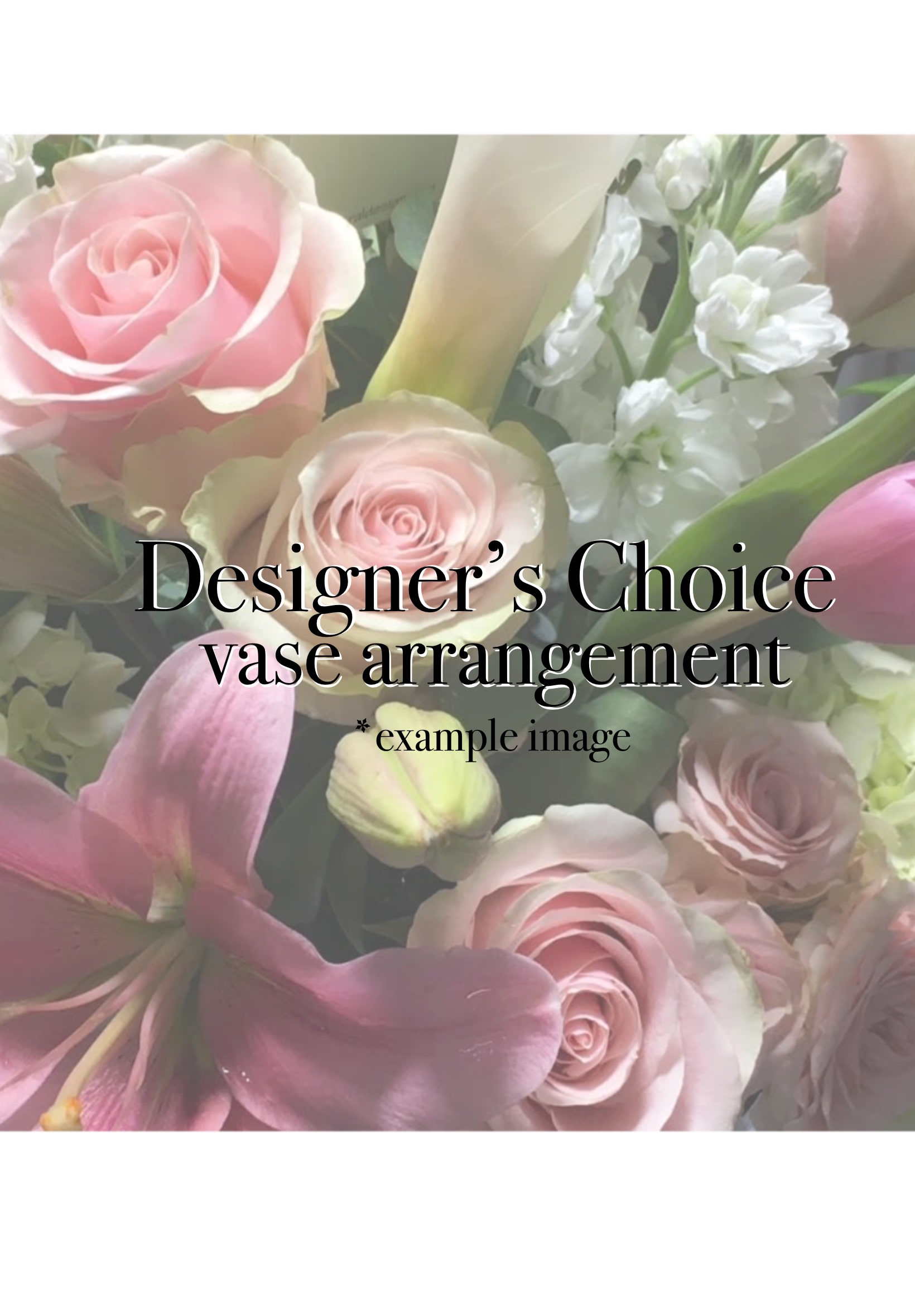 Designer's Choice Designer's Choice - Designer's Choice