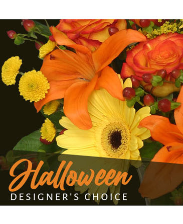 Designer's Choice - Halloween - Let us create a spooky, spectacular arrangement for you!