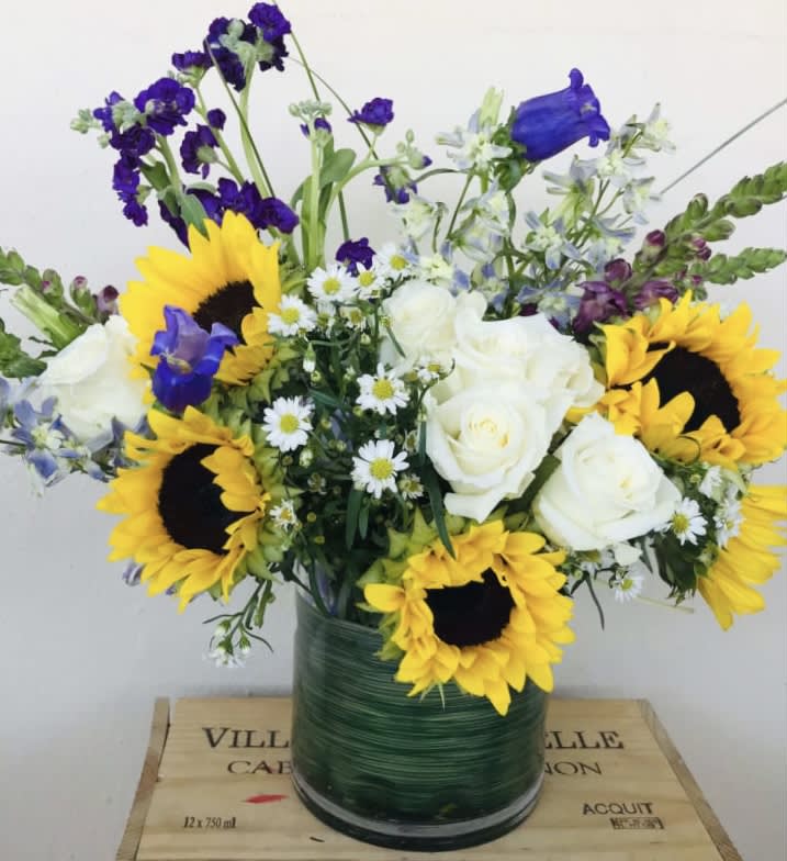 Sunshine  - Sunflowers , White Roses, Blue Bells in 6x6” glass vase 