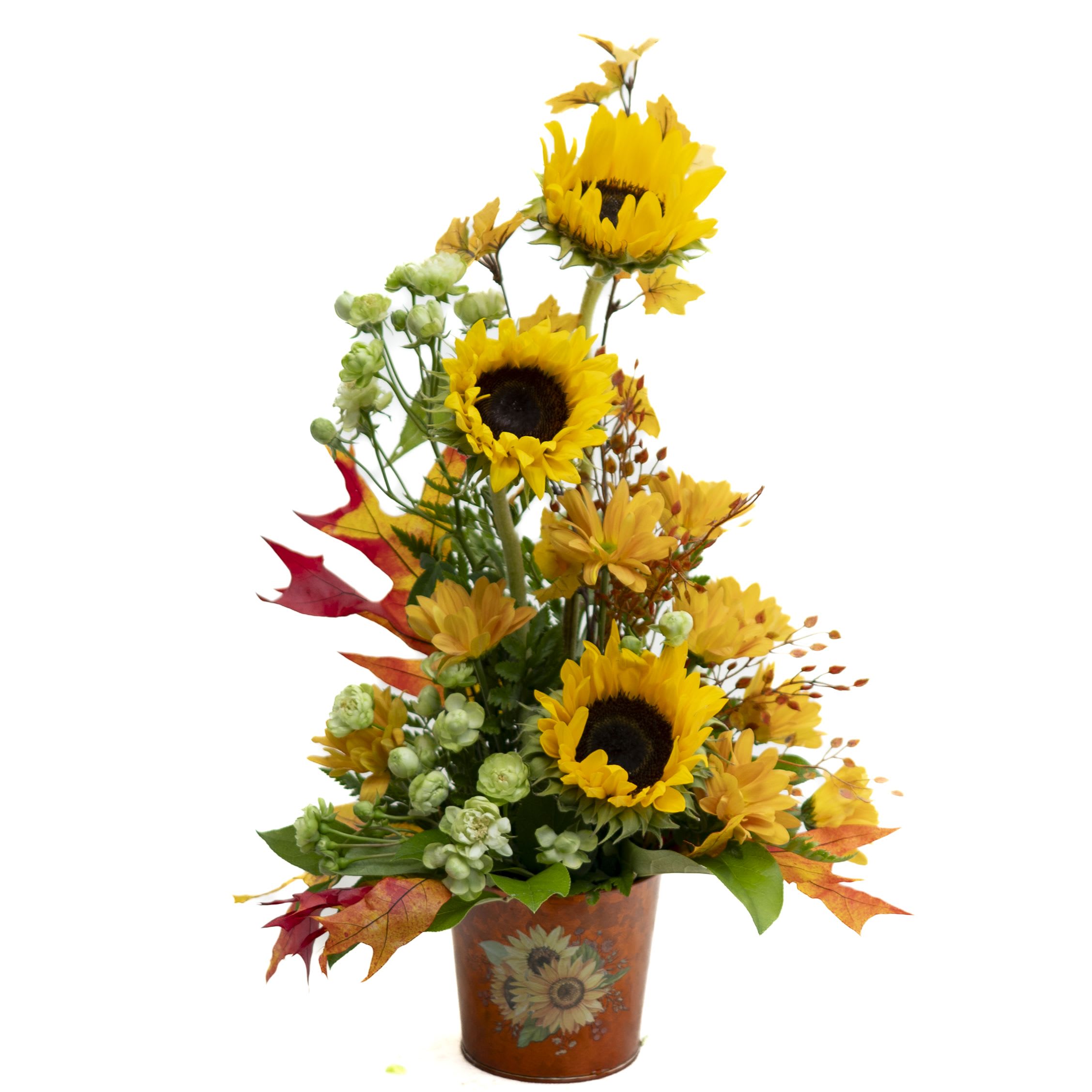 Golden Harvest Sunflower Arrangement - Brighten any space with the rustic charm of the Golden Harvest Sunflower Arrangement. Featuring cheerful sunflowers, golden-yellow daisies, and delicate green spray roses, this design is accented with autumn leaves and lush greenery. Arranged in a decorative sunflower tin, it captures the warmth and beauty of fall, making it perfect for seasonal décor, a thoughtful gift, or a festive centerpiece.