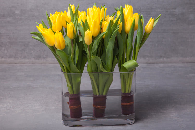 Portola Tip-Toe - Lift any day with a trio of singing yellow Tulips (many other colors available) crafted with precision and on point placement.   