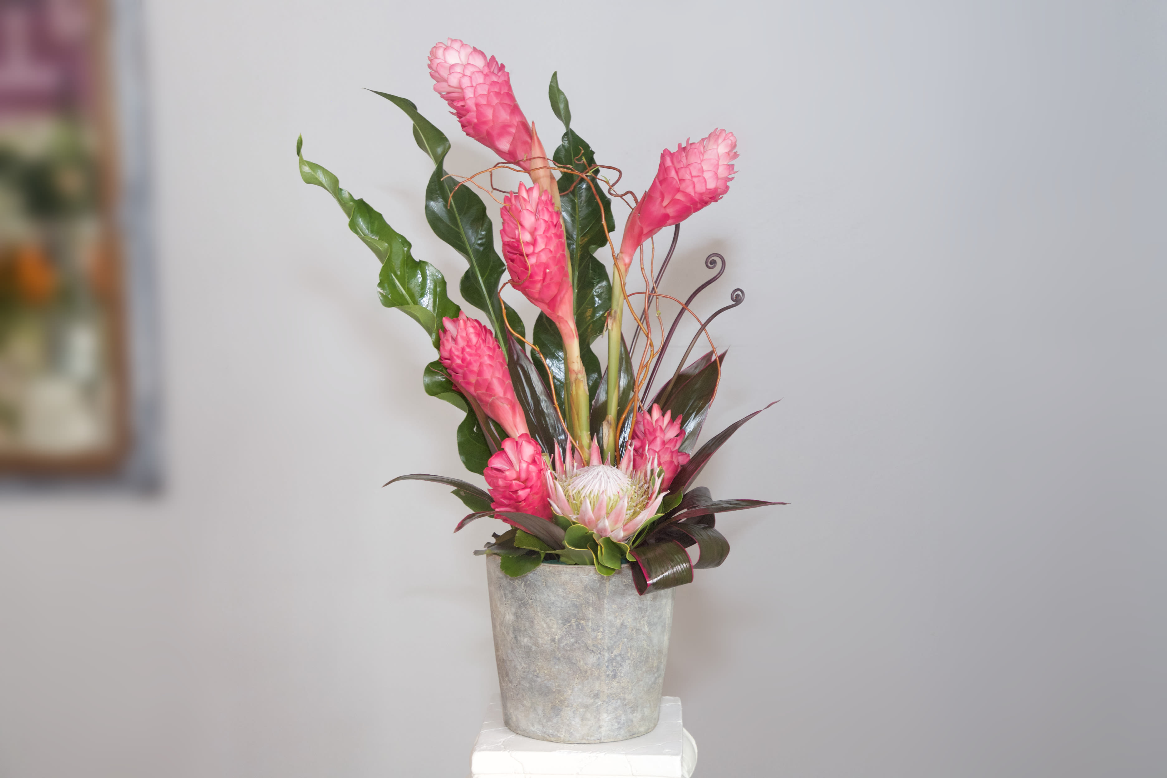 Ashbury Heights Heroic - Show your love and devotion with this contemporary tropical arrangement of pink Alpiinias, Proteas, Tea Leaves, other exotic flowers and greens