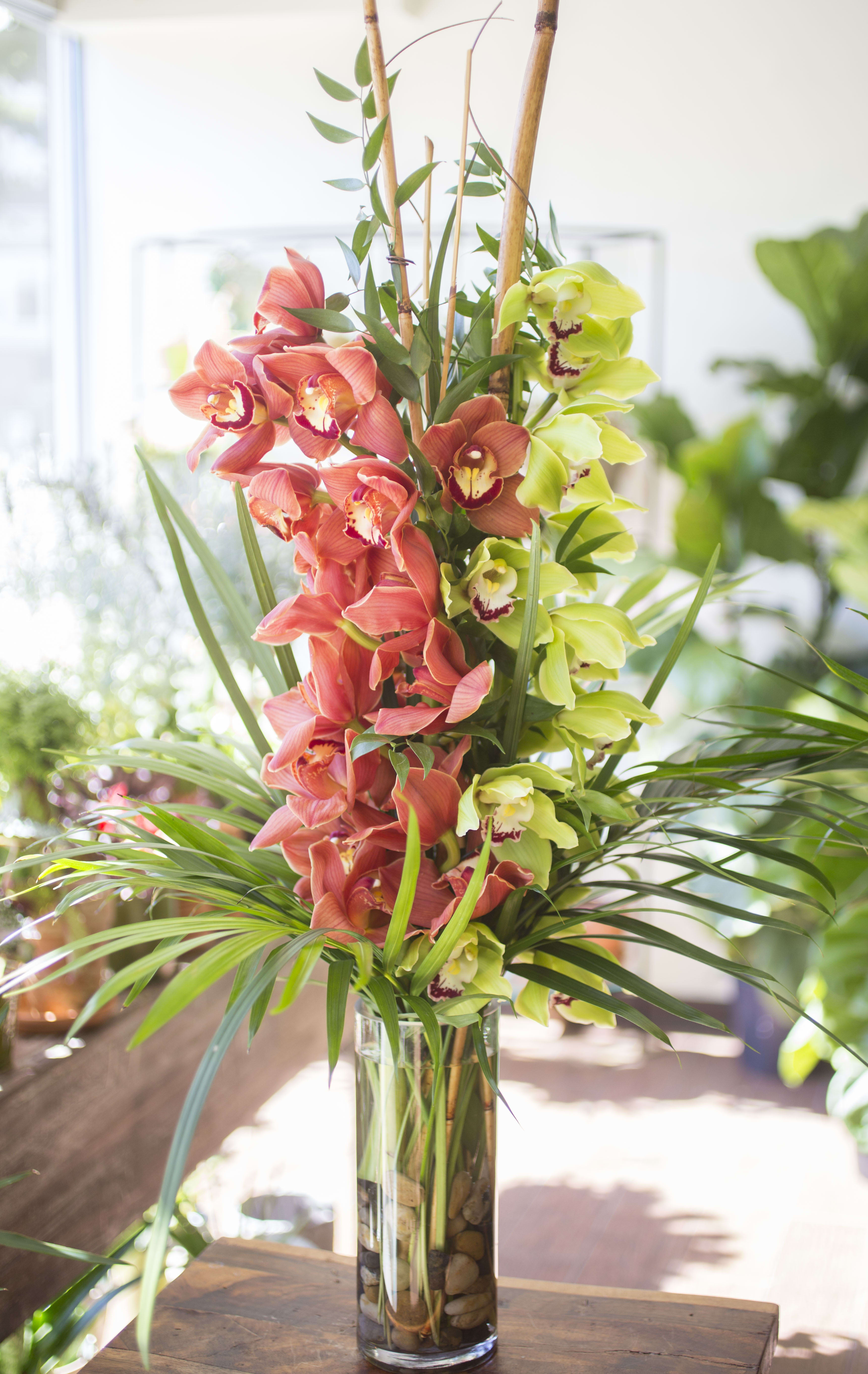 Dakota - Two large, beautiful Cymbidium Orchids, in a clear vase with rocks, sticks and dramatic foliage. Color availability may vary. For specific color request, please order before 7pm the day before your desired delivery day and include your color request in special instructions.