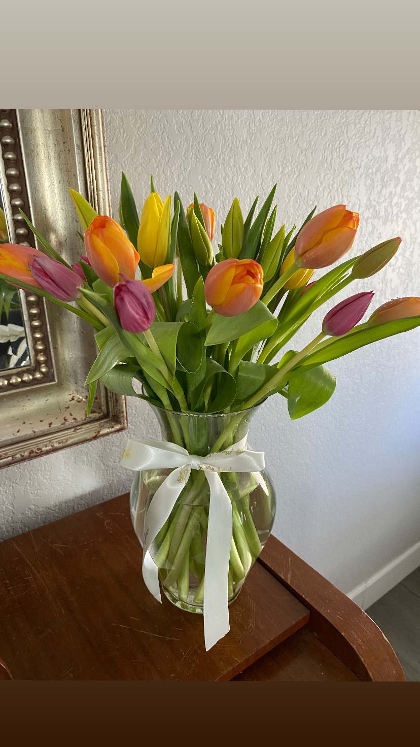 The beauty of tulips The beauty of tulips - Tulips
