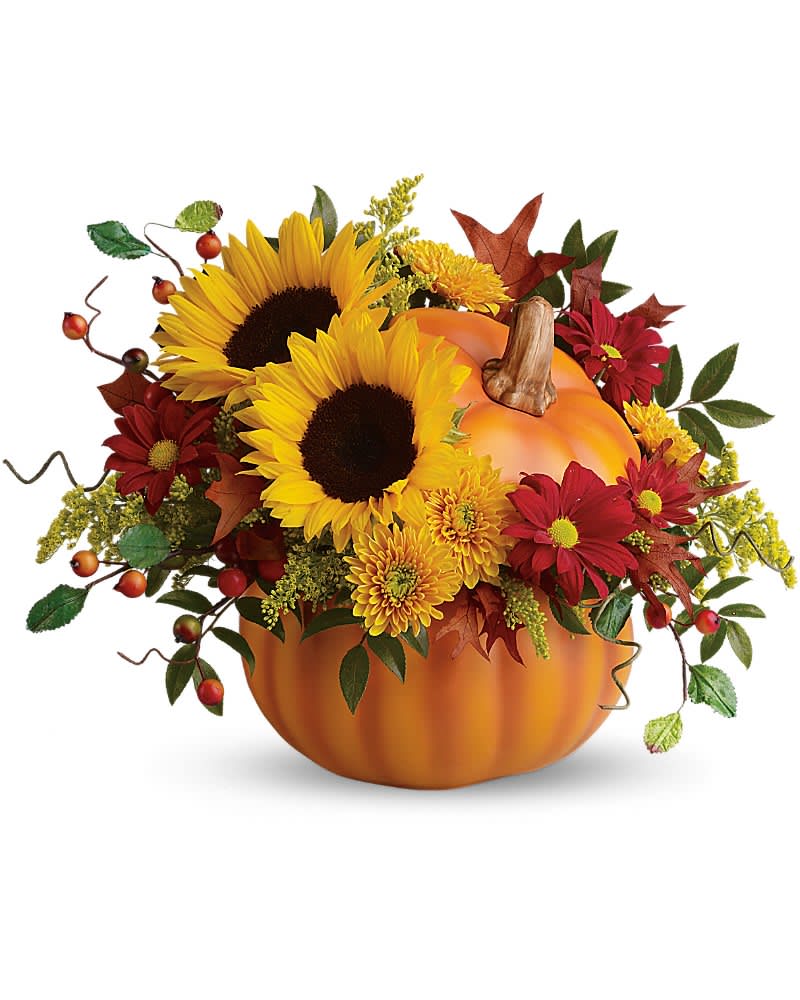 Hello Pumpkin - Radiantly rustic sunflowers and other beautiful blooms in a hand-painted ceramic pumpkin that is truly the pick of the patch. This delightful gift will keep on giving for years - as a vase, candy dish. The radiant bouquet includes yellow sunflowers, yellow cushion spray chrysanthemums, red daisy spray chrysanthemums, solidago, huckleberry and oak leaves.