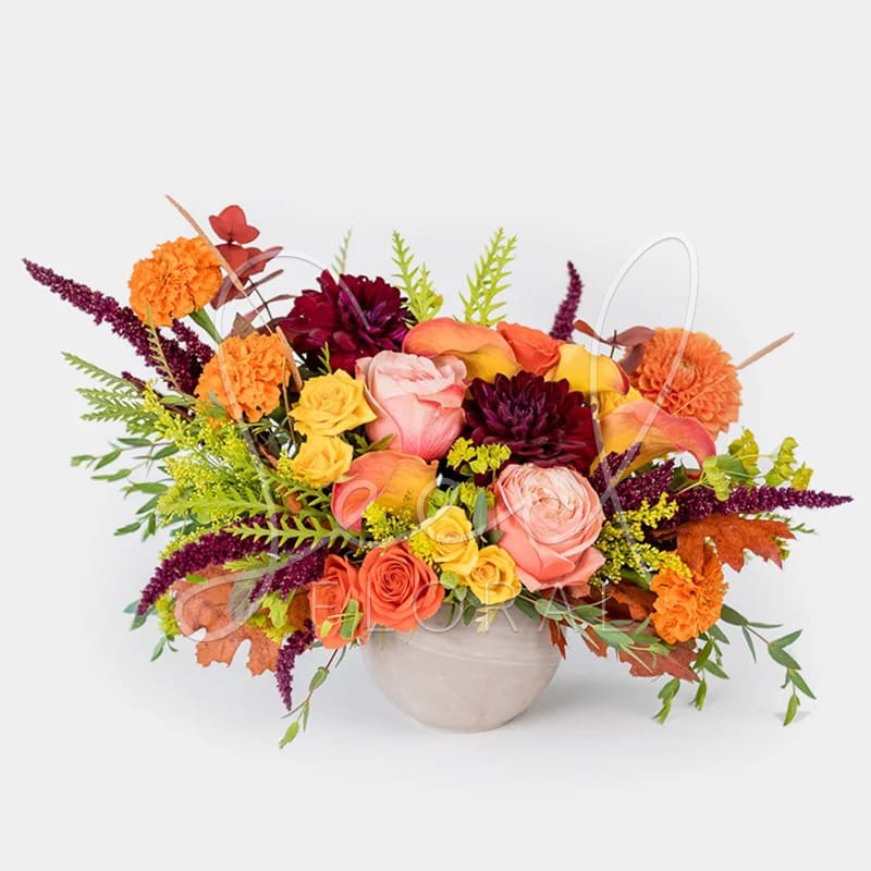 Fall Breeze - Classic Seed Floral but make it fall y'all! One sided arrangement,  featuring autumnally-toned fresh seasonal flowers plus foliage in 4&quot; Ivory Astrid Ceramic pot. 