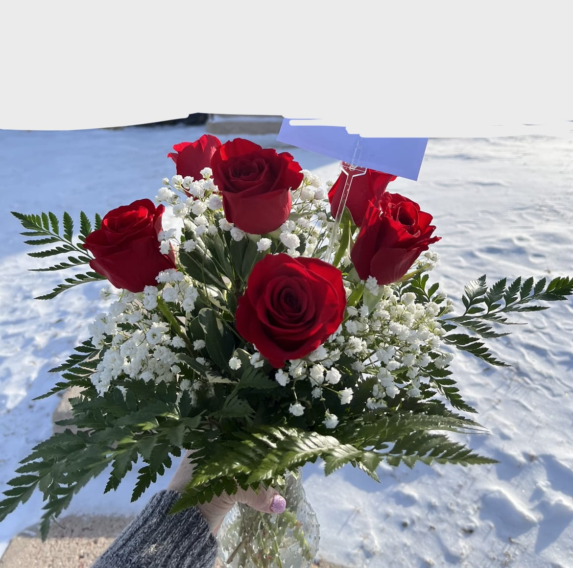 Traditional Half Dozen Roses - Six red roses surrounded by babies breath and greenery. Pretty enough to make that perfect impression and to let your sweetheart know how much they are loved. 