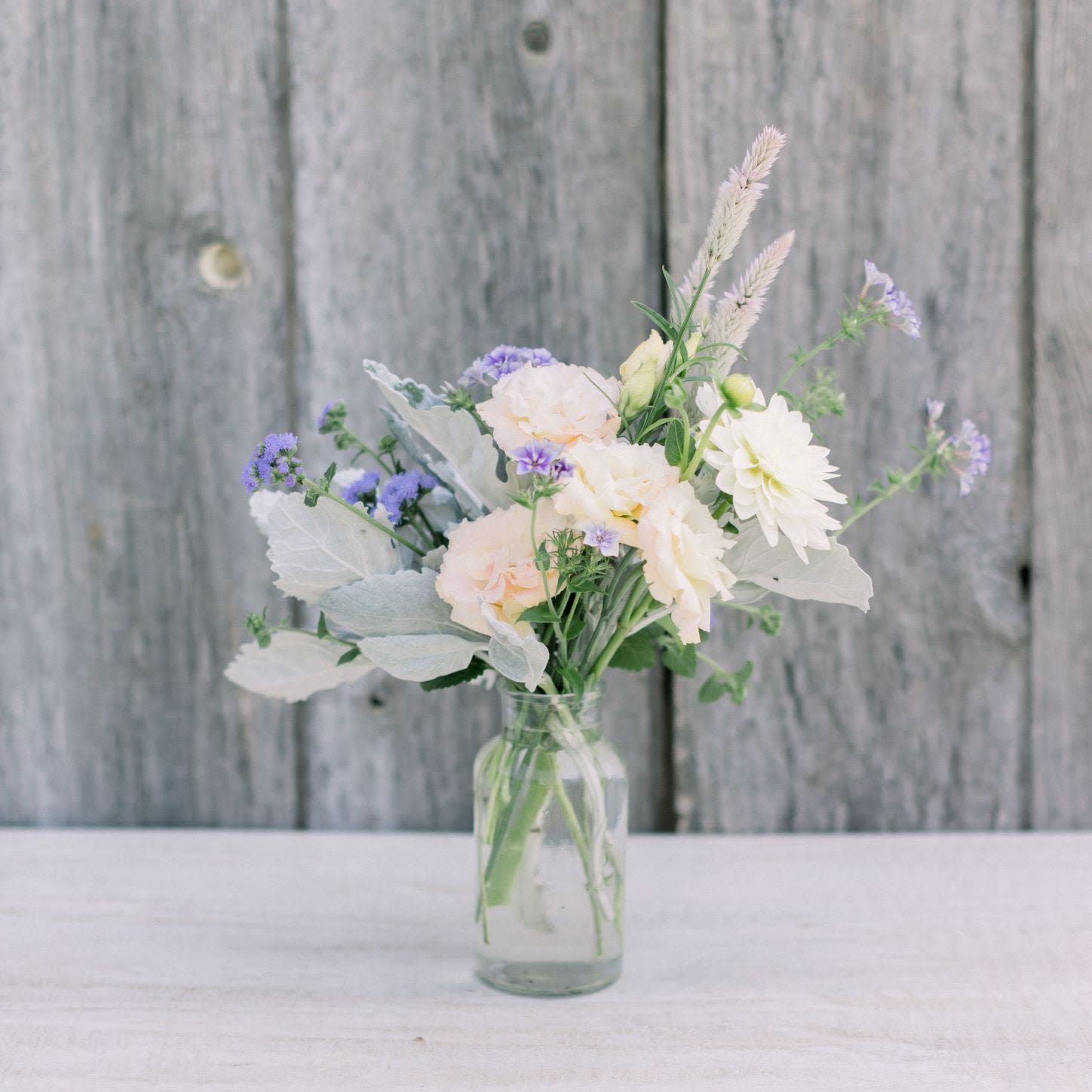 Seasonal Small Container Arrangement Seasonal Small Container Arrangement - A perfect gift for anyone, this small but loaded with color & texture! This will brighten up the day!