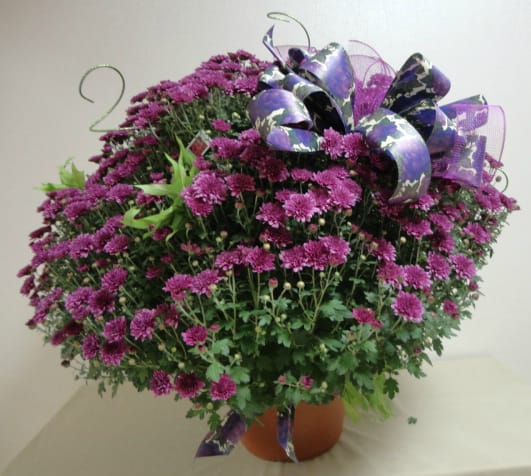 Purple Mum - Purple mum decorated.