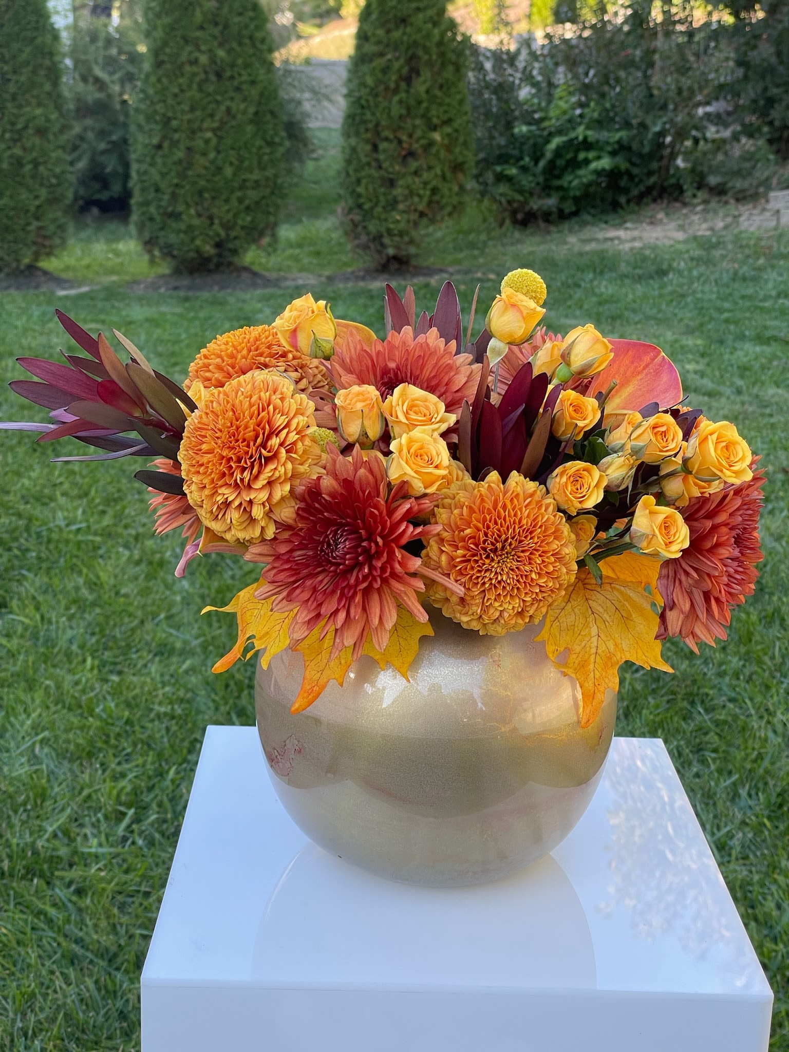 Golden Harvest Blooms - This stunning fall-themed floral arrangement is a vibrant display of warm autumn colors. It features a rich blend of orange chrysanthemums, bright yellow roses, and striking burnt-orange calla lilies, complemented by deep red foliage. The arrangement is accented with yellow billy balls and fall leaves, adding a touch of seasonal charm. Displayed in a gold, metallic vase, this arrangement captures the essence of autumn with its bold, warm tones and textured florals. Perfect as a centerpiece or gift, it brings warmth and elegance to any space, celebrating the beauty of the fall season.  Mums Spray Roses Calla Lilies Accents  Height 12 inch Width 9 inch