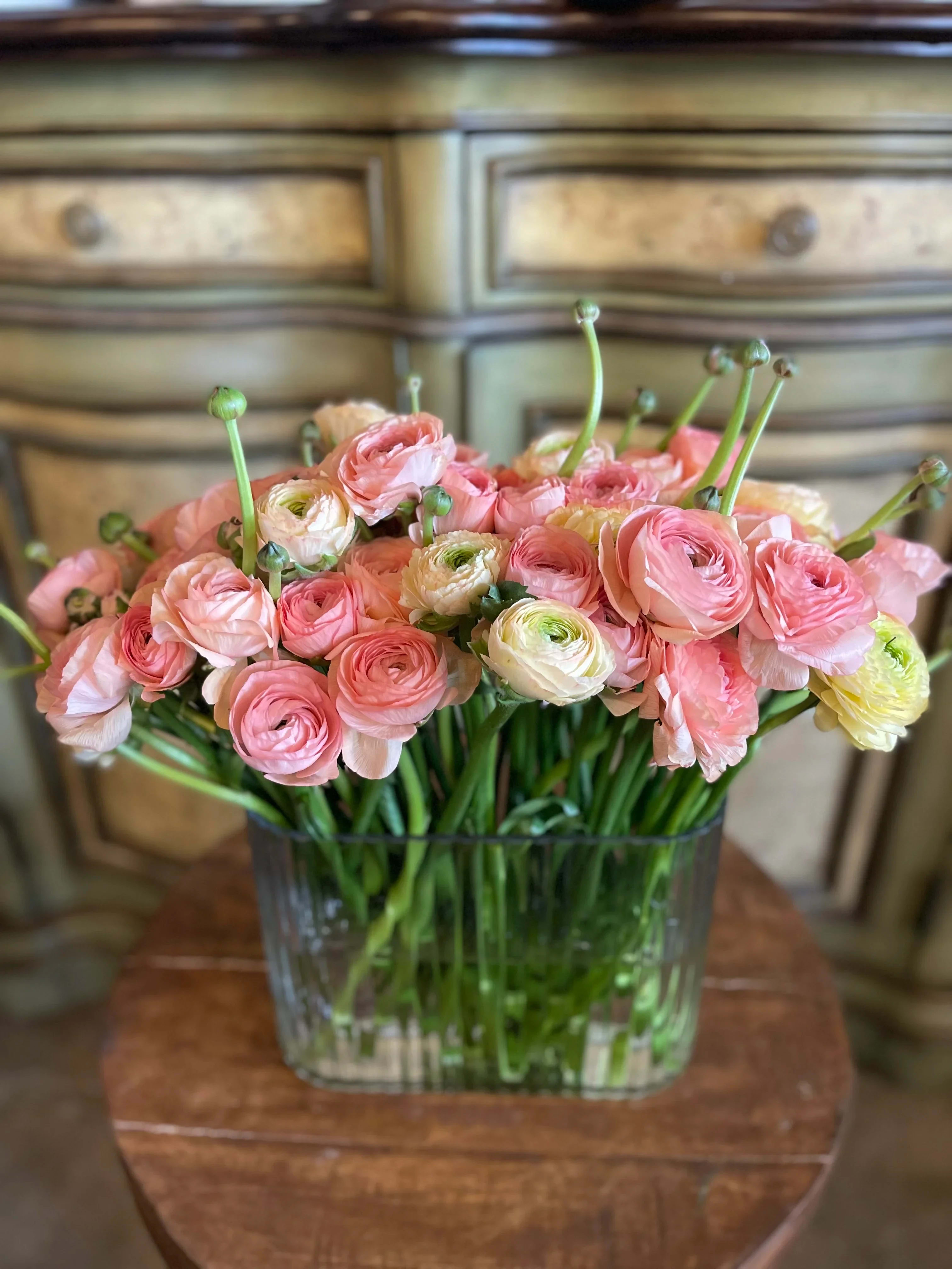 Simply Ranunculus - The simplicity of Simply Ranunculus lets the beauty of these elegant blooms take center stage, creating a stunning focal point for any occasion. This arrangement features assorted Ranunculus flowers, artfully arranged in a clear oblong glass vase. The soft, layered petals of the Ranunculus will add sophistication and charm to any space.  Please note: Color of Ranunculus and vase may vary depending on availability, ensuring each arrangement is fresh and unique.  Freshness Guarantee: At Belden's Florist, we stand behind the quality of our products. Our flowers are guaranteed to remain fresh and beautiful for 3–5 days after delivery. As cut flowers, they may naturally start to wilt beyond this timeframe. However, we ensure that you receive the freshest blooms possible, carefully selected and expertly arranged to bring joy and elegance to your space. To help your flowers stay fresher longer, we recommend adding fresh water to the vase regularly. Just like you, flowers need hydration to thrive, and refreshing the water allows them to drink up and continue to dazzle you with their beauty.