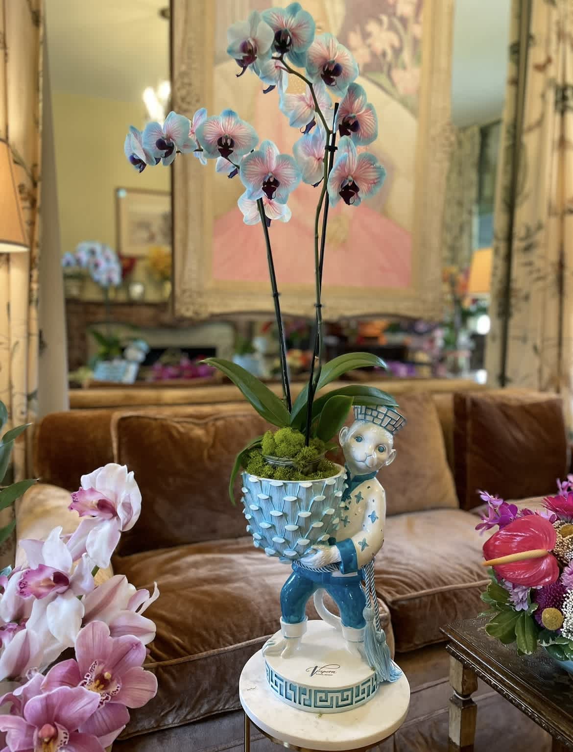 Entertainment gift! - For your cheerful celebrations we find unique pots for unique looking orchids . If you want to stand out and send a fun gift , you found it ! Order  this joyful gift to make someone smile!  