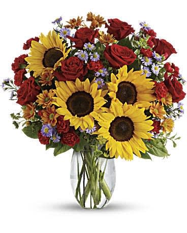 Pure Happiness - A sunny sunflower bouquet gets an autumnal spin with the addition of pretty bronze daisy mums and rich red roses. The cheerful autumn floral arrangement is rich with color, making it a stylish, energizing pick for any fall occasion. Bold red roses and stunning sunflowers are mixed with miniature red carnations, bronze daisies and lavender monte cassino asters. Fresh greens include bupleurum, salal and pitta negra. Presented in a lovely clear glass vase. Orientation: All-Around