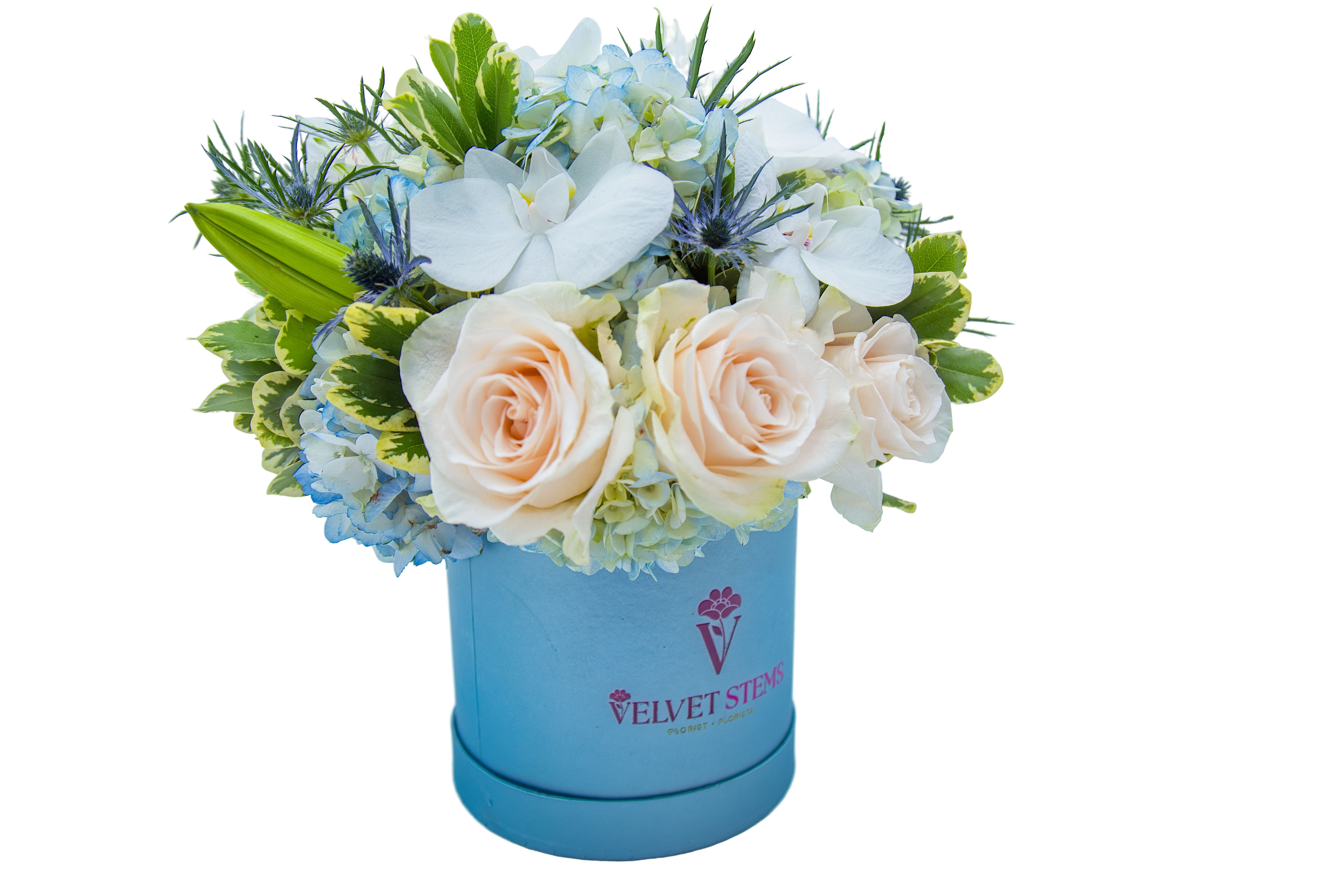 Laurent (V Signature™) - Laurent exclusively designed and sold by Velvet Stems™ is a serene BloomBox showcasing soft peach roses, white orchids, airy blue hydrangea, and delicate thistle. Presented in a signature Velvet Stems bloombox, this design evokes tranquility and elegance — a graceful expression of refined beauty.