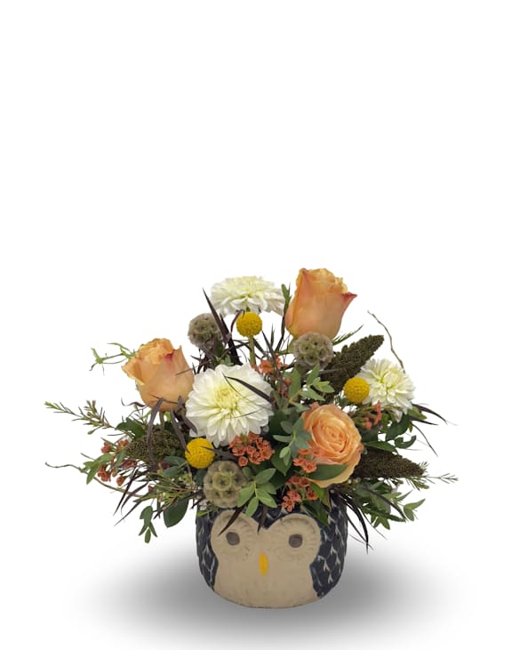 Owl You Need Owl You Need - Meet Owl You Need, a charming arrangement in a low ceramic owl-shaped pot. This playful bouquet features dahlias, roses, scabiosa, and wax flowers in warm shades of peach, white, brown, and orange, creating a cozy, whimsical display. Perfect for brightening any space or gifting to someone special, it’s as delightful as it is memorable. Approximately 13 × 11 inches