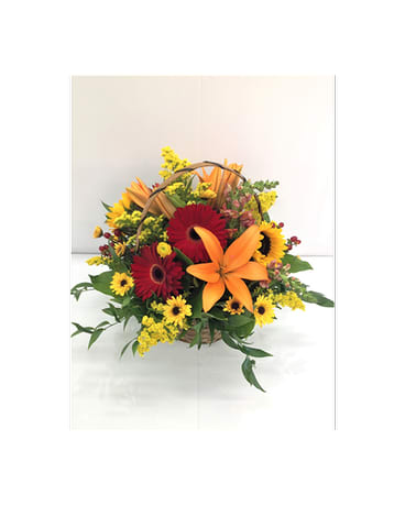 Fierce Surroundings - Gerbers, lilies, snaps, sunflowers, mums, solidago and hypericum berries arranged in a basket.   Flowers and colors may be substituted depending on availability.   FCF-067
