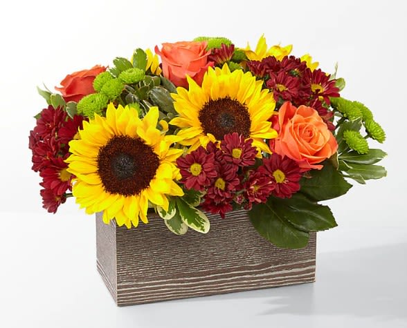 Happy Harvest Garden - Delight your friends and family with an assortment of bright Autumn colors in a rustic, textured container.