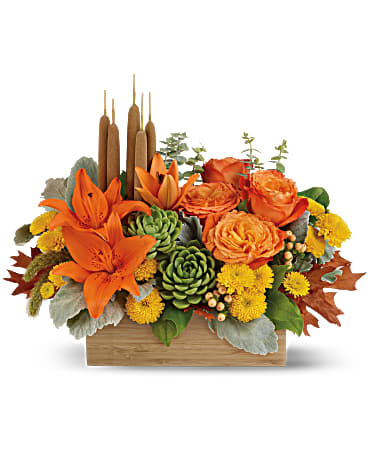 Teleflora's Fall Bamboo Garden - Enjoy the serenity of the season with a fresh fall centerpiece that is as beautiful as it is soothing. This lush arrangement enchants in shades of peach, orange and green - combining roses, lilies and even two succulent plants! Hand-delivered in a natural-toned bamboo rectangle. This gorgeous centerpiece arrangement features orange roses, orange asiatic lilies, yellow cushion spray chrysanthemums, peach hypericum, millet, cattails and two succulent plants, and finished with dusty miller, spiral eucalyptus and lemon leaf. Delivered in Teleflora's Natural Bamboo Rectangle. Orientation: One-Sided