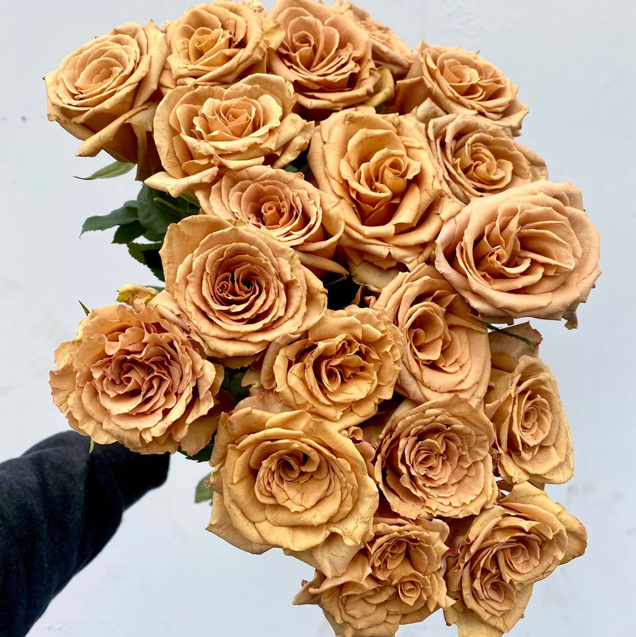 toffee roses (25 stems) - toffee roses (25 stems) CLEANED! This bunch comes de-thorned &amp; de-leaved, prepped for all floral designing needs. NOT bouquet style.