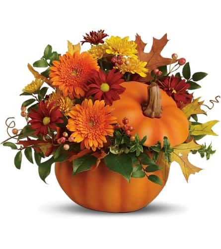 Teleflora's Somethin' Pumpkin - Teleflora