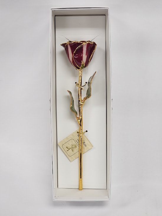Preserved Maroon/Ivory 24KT Gold Rose - A real rose preserved to last and then trimmed with real 24kt gold and presented in a gift box