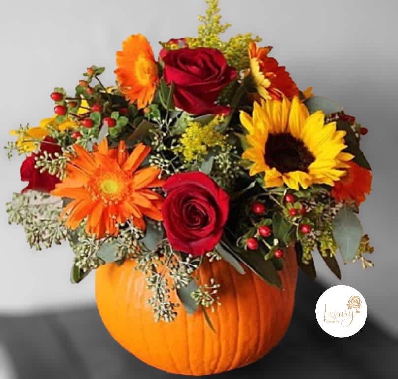 Pumpkin Arrangement - Let us do the hard work! We’ll design you a custom arrangement using a mix of the freshest fall blooms and textures available. “Flowers shown in the picture are for example only and not a guarantee of the type of flowers used”. Ceramic Pot Occasionally, substitutions of flowers and/or containers happen due to weather, seasonality, and market conditions which may affect availability. If this is the case with the gift you’ve selected, we will ensure that the style, theme, and color scheme of your arrangement are preserved and will only substitute items of equal value or higher value. If any design elements are of major importance to your order, please include them in the florist instructions at checkout or contact us at customerservice@luxuryflowersclt.store to ensure availability. Place your Order Online Monday to Saturday before 1:00 p.m. for same-day delivery “Orders received after hours will be delivered the next business day”.  Check our coverage area  CARE INSTRUCTIONS Keep the flower arrangement hydrated with natural water and change the water every two days. Do not spray any cleaning product on the flower arrangement. Do not place heavy objects directly on the flower arrangement. Keep flower arrangements out of direct sunlight and extreme heat.