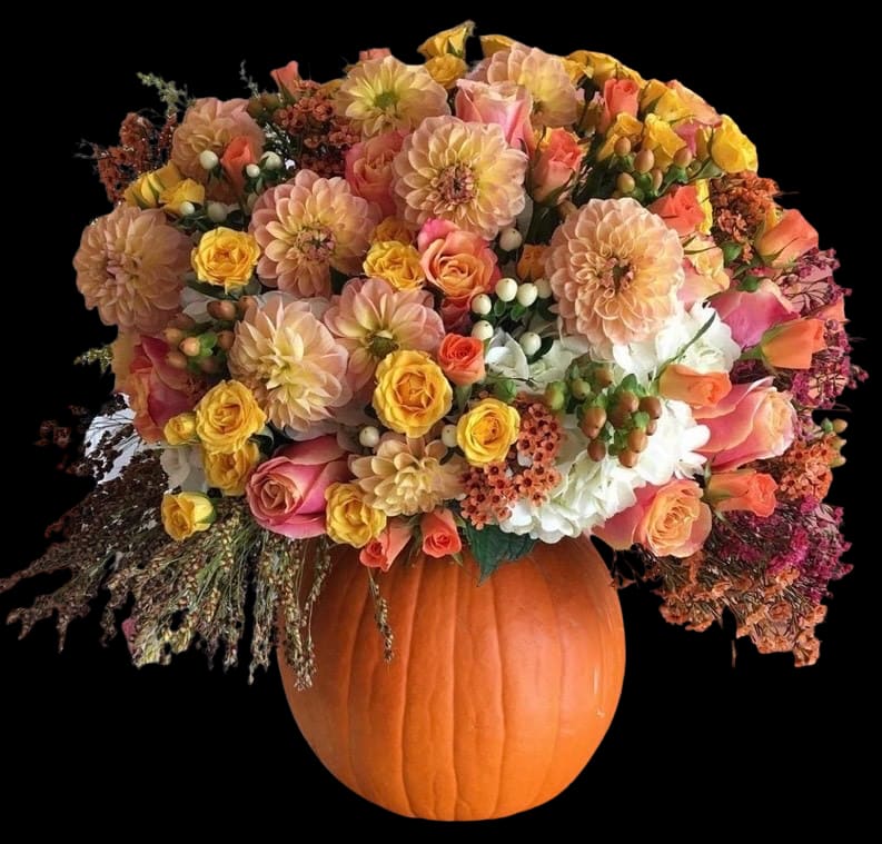 Peachy Dahlia Pumpkin Centerpiece  - Peachy Dahlia Pumpkin Centerpiece 