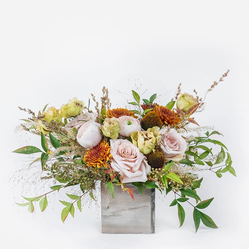 Sweater Weather - Our Sweater Weather arrangement is the perfect blend of cozy and elegant. Featuring blush roses, golden lisianthus, bronze mums, and seasonal greenery, it captures the warm textures and earthy tones of autumn. Designed in a natural woodland box 4&quot;x4, this arrangement adds a natural yet refined touch to any space.  Ideal for Thanksgiving tables, fall gatherings, or as a seasonal gift, Sweater Weather brings the beauty of autumn indoors with fresh, hand-selected blooms.