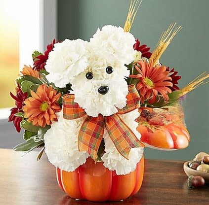 ADogable for Fall - Our ADogable pup designed in a keepsake pumpkin container with lid
