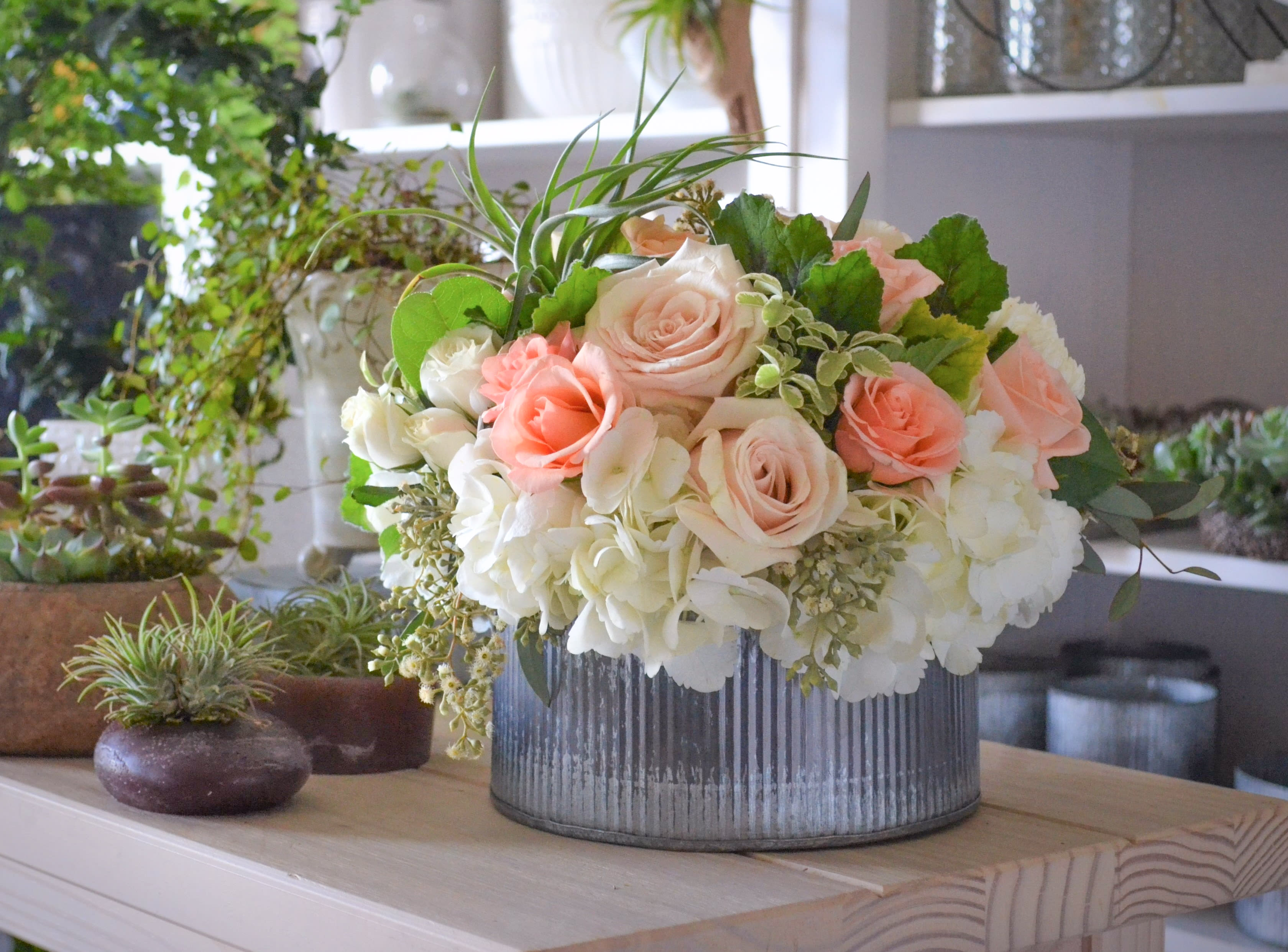 Peach Perfect  - The Peach Perfect arrangement is an everyday, every occasion arrangement perfect to send to friends and loved ones. White hydrangeas,ivory and peach spray roses, versilia roses, succulents, in a round tin container. Arrangement is approximately 12WX7H 