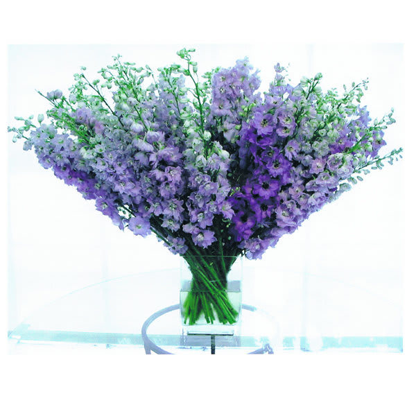 Bright Blue Sky - Bright Blue Sky is a modern twist on a classic favorite. Delphinium flowers are a raving favorite for many. What a nice way to lift someone's spirit and brighten their home! 