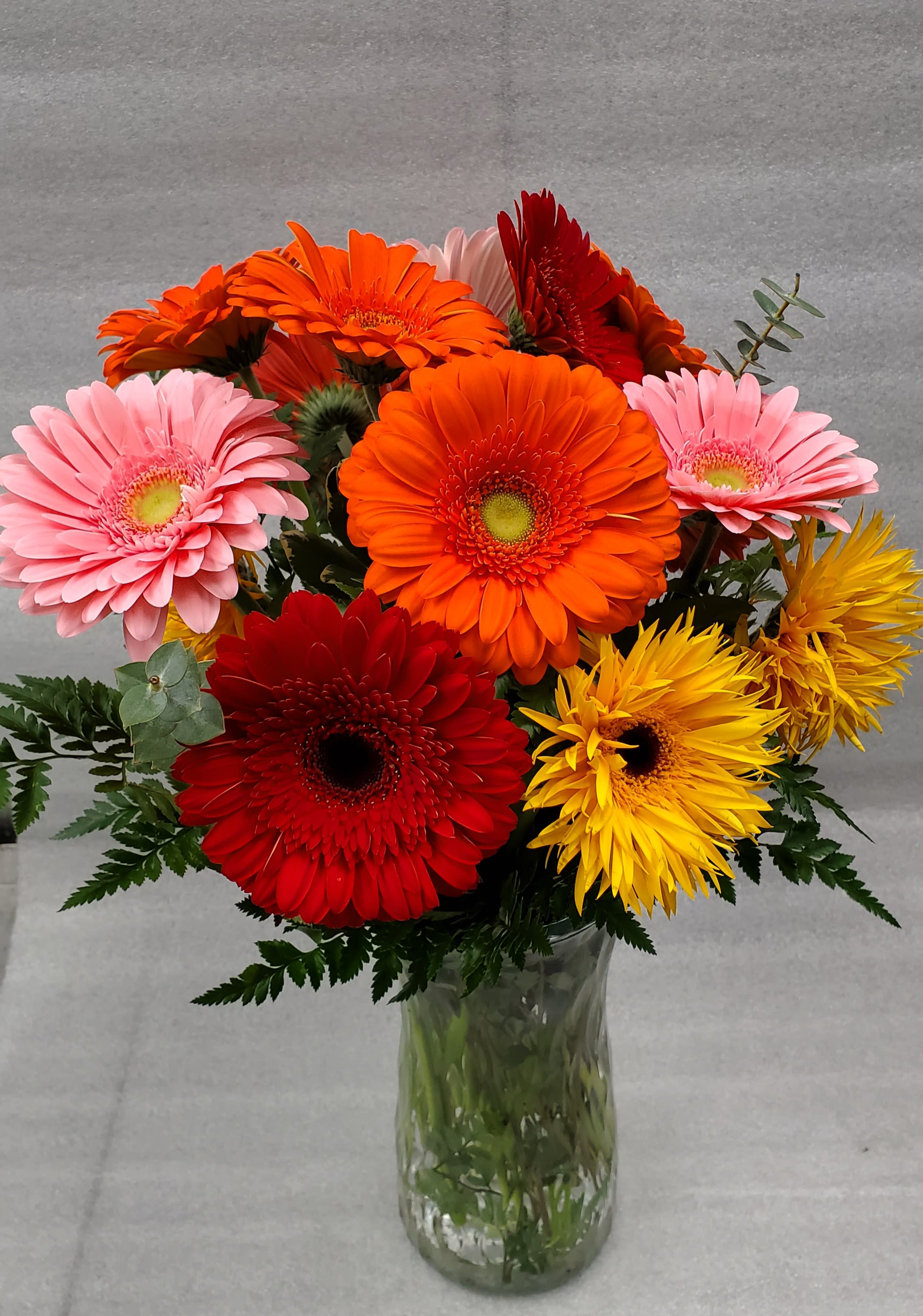 Rainbow Whiskers Mixed Gerbera Vase Cat Friendly - Rainbow Whiskers Cat-Friendly Collection – Inspired by Our Beloved Felines  Bring the vibrant joy of a rainbow indoors with Rainbow Whiskers, a cheerful and pet-safe bouquet inspired by one of our most playful kitties. This radiant arrangement features:   dazzling gerbera daisy stems in a variety of brilliant hues  Classic colors like sunny yellow, hot pink, bold red, and pure white  Elegantly displayed in a clear glass vase  Perfect for brightening any space — and totally safe for your curious feline friends. Like all designs in our Cat-Friendly Collection, Rainbow Whiskers is crafted to bring beauty and peace of mind into your home.  # Please note container selection may vary due to limited  production  of vase style  from our wholesalers. Substitutions may occur  and or color may vary. Thank you for understanding.