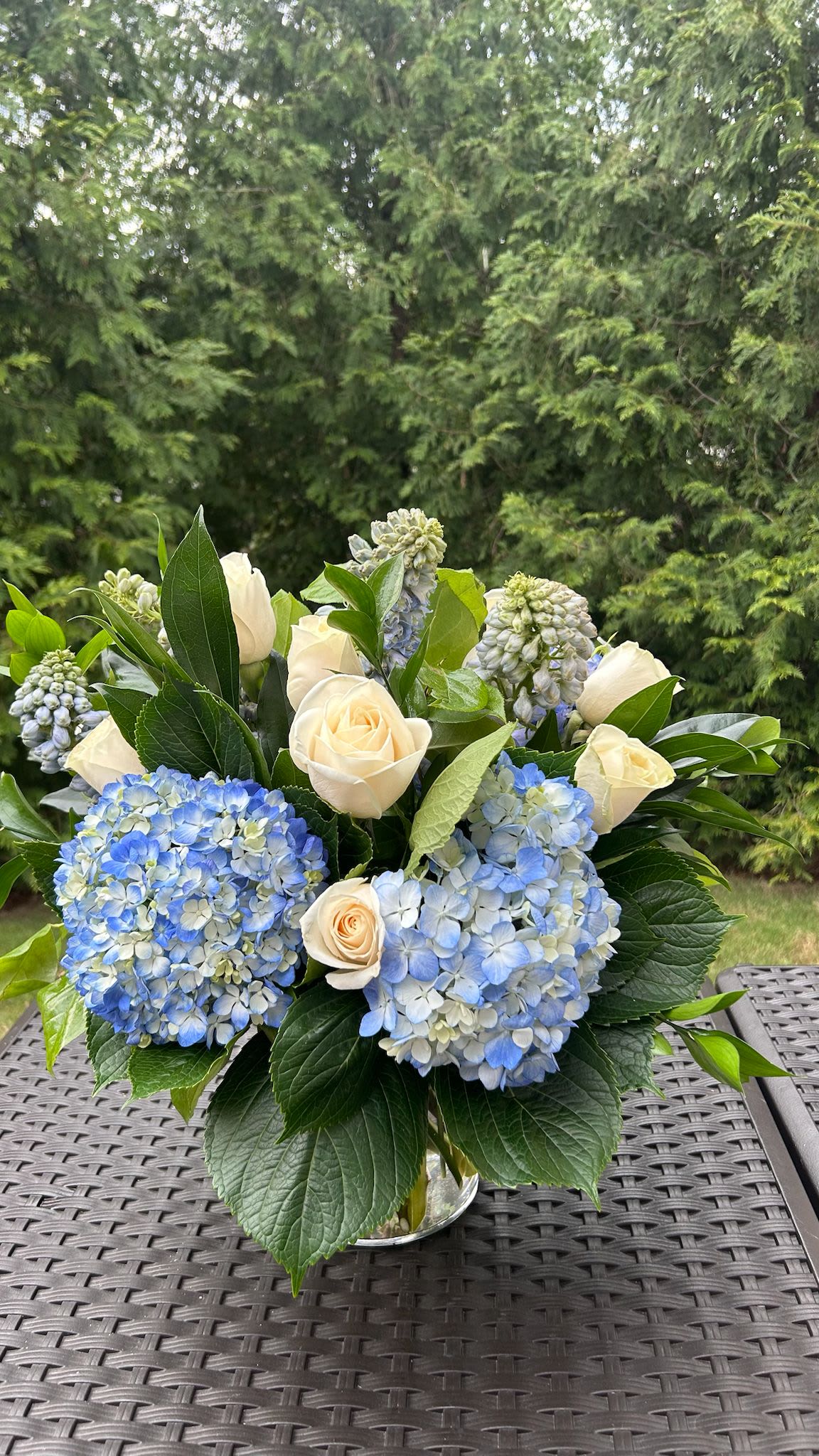 Blue Serenity - Luxury arrangements with real and fresh roses, make this arrangement a true symbol of luxury for all occasions. Bloom Details: Blue Delphinium, Blue Hydrangea, White Rose Clear Glass All Occasion  Place your Order Online Monday to Saturday before 1:00 p.m. (E.T.) for same-day delivery.  “Orders received after hours will be delivered the next business day”. Check our coverage area.  Occasionally, flowers and/or container substitutions happen due to weather, seasonality, and market conditions, which may affect availability. If this is the case with the gift you’ve selected, we will ensure that your arrangement's style, theme, and color scheme are preserved and will only substitute items of equal value or higher value.  CARE INSTRUCTIONS	 Keep the flower arrangement hydrated with natural water and change the water every two days. Do not spray any cleaning product on the flower arrangement. Do not place heavy objects directly on the flower arrangement. Keep flower arrangements out of direct sunlight and extreme heat. 
