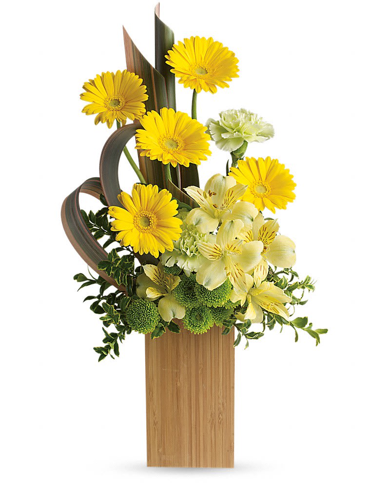 Sunbeams And Smiles by Teleflora - Send smiles across the miles. This artful arrangement of sunny yellow blooms in a modern bamboo vase is specially designed to warm hearts and brighten days! Includes miniature yellow gerberas, yellow alstroemeria, green carnations and green button spray chrysanthemums, accented with oregonia and brown flax. Delivered in a Tall Bamboo vase.