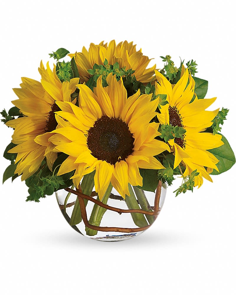 Sunny Sunflowers - Whoever receives this stunning bouquet is sure to be bowled over by its bold beauty! It's big on fun and big on flowers. Sunflowers steal the show in this simple arrangement. Also featured: green bupleurum, salal leaves and a curly willow inside the glass bubble bowl.Approximately 12&quot; W x 10&quot; H