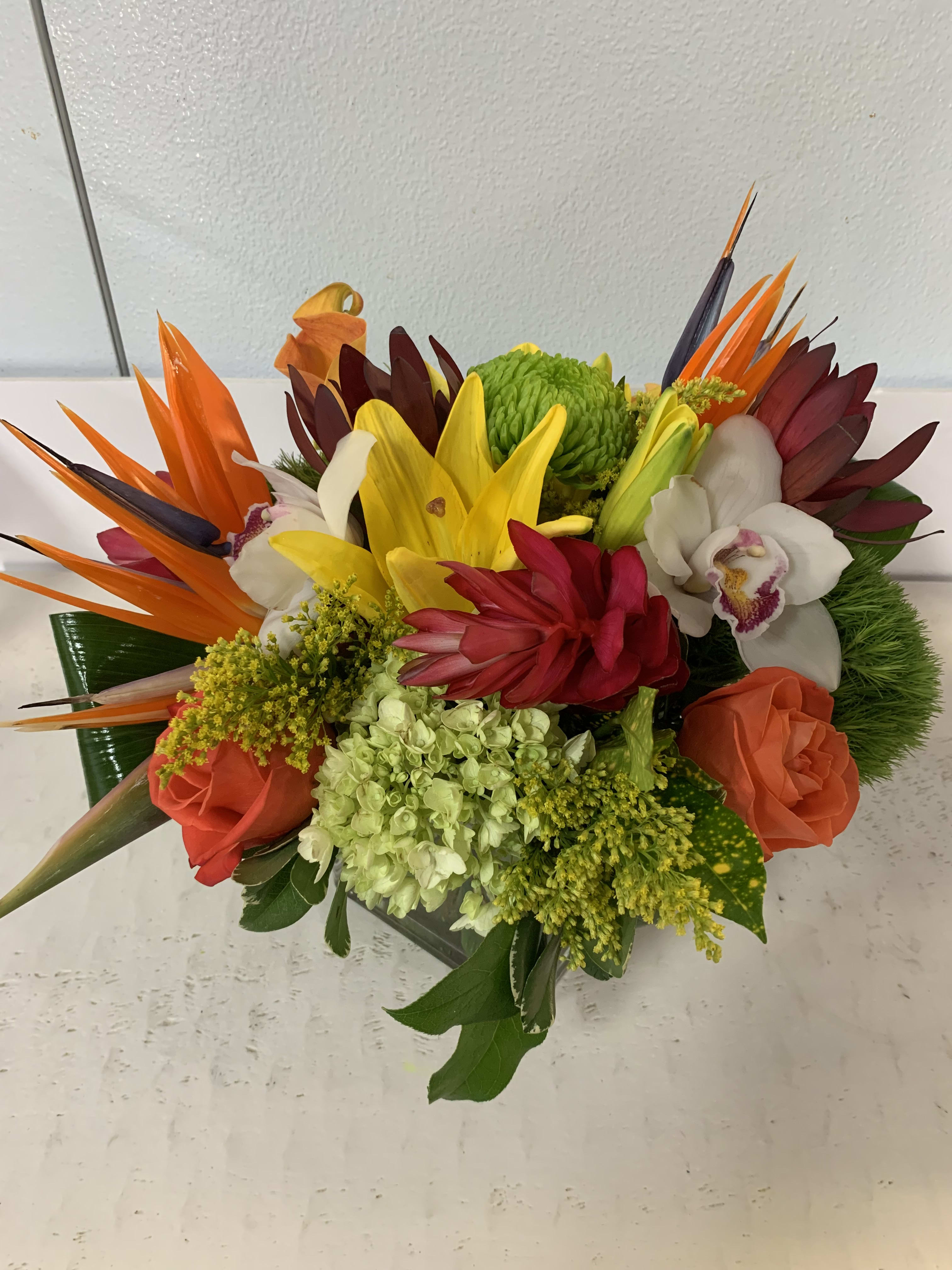 Tropical Flair Tropical Flair - A tropical-punchy cube in a handpicked assortment of orchids, lilies, birds of paradise and roses.