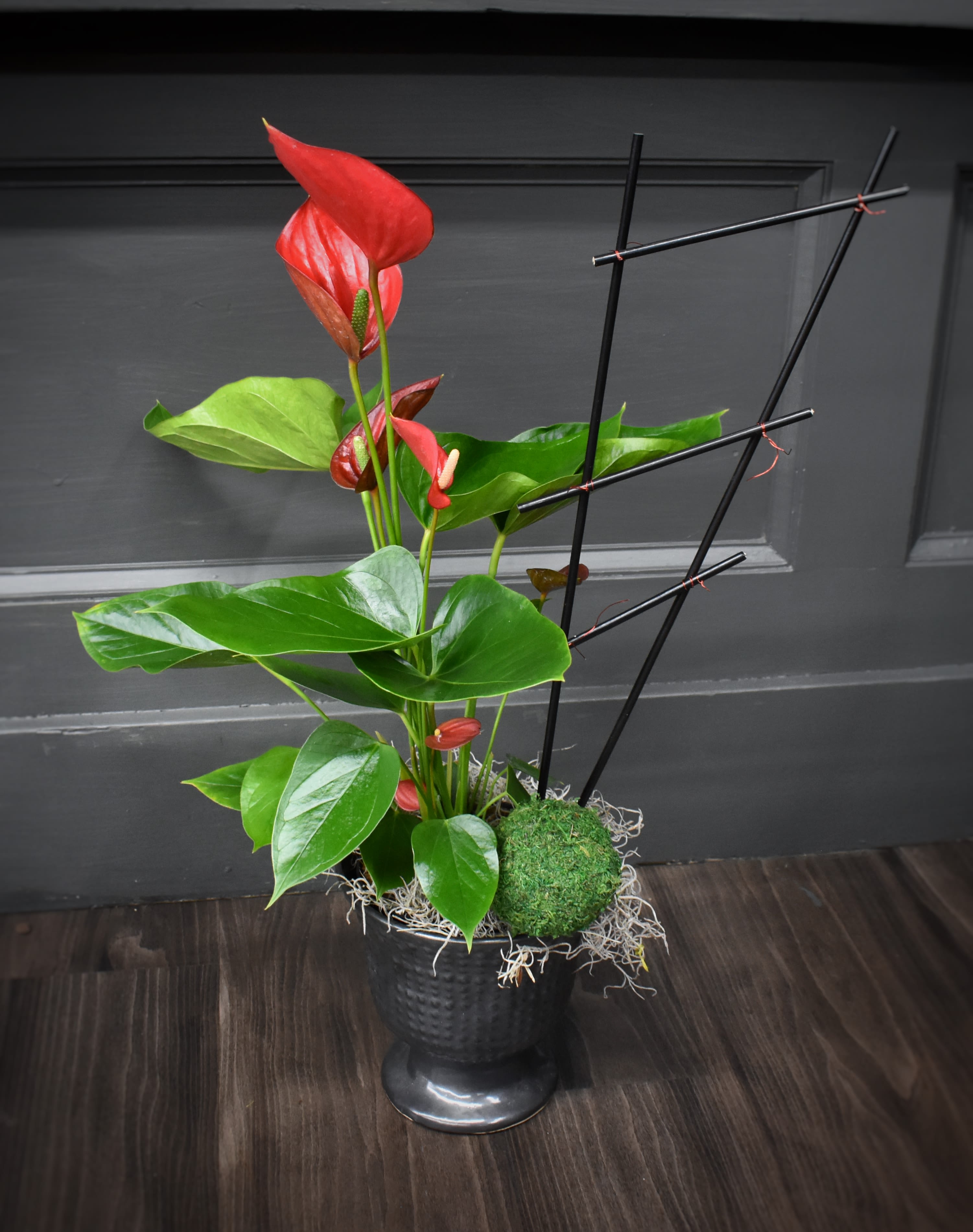 Anthurium Artistry - An already elegant Anthurium elevated with a decorative armature in a luxurious footed container. These tropical blooming plants have long-lasting flowers that are bright and waxy. A striking display for a home or office. 