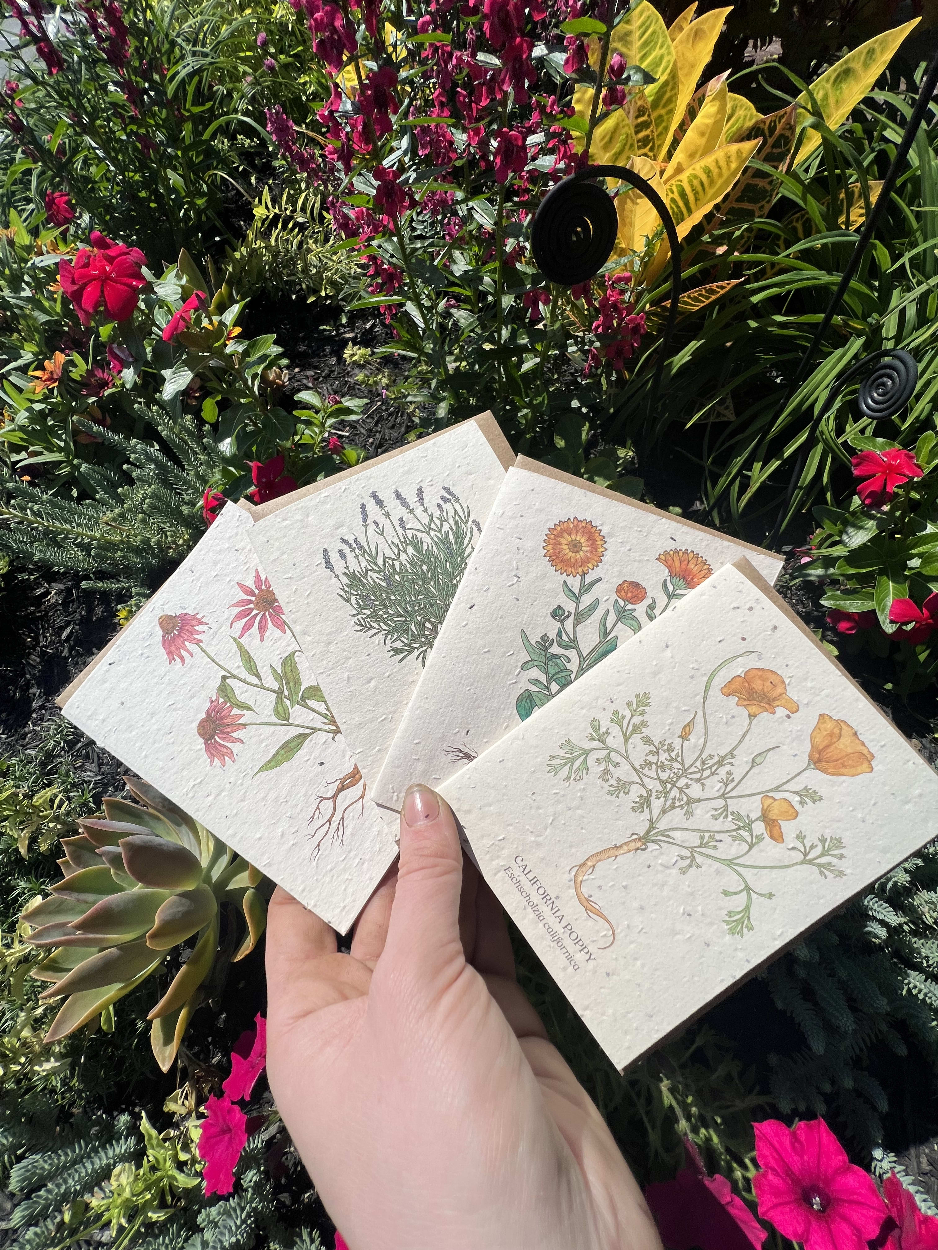 Plantable Seed Card- Medicinal Flowers - Medicinal Flowers Card- please indicate which card you would like in the order notes.