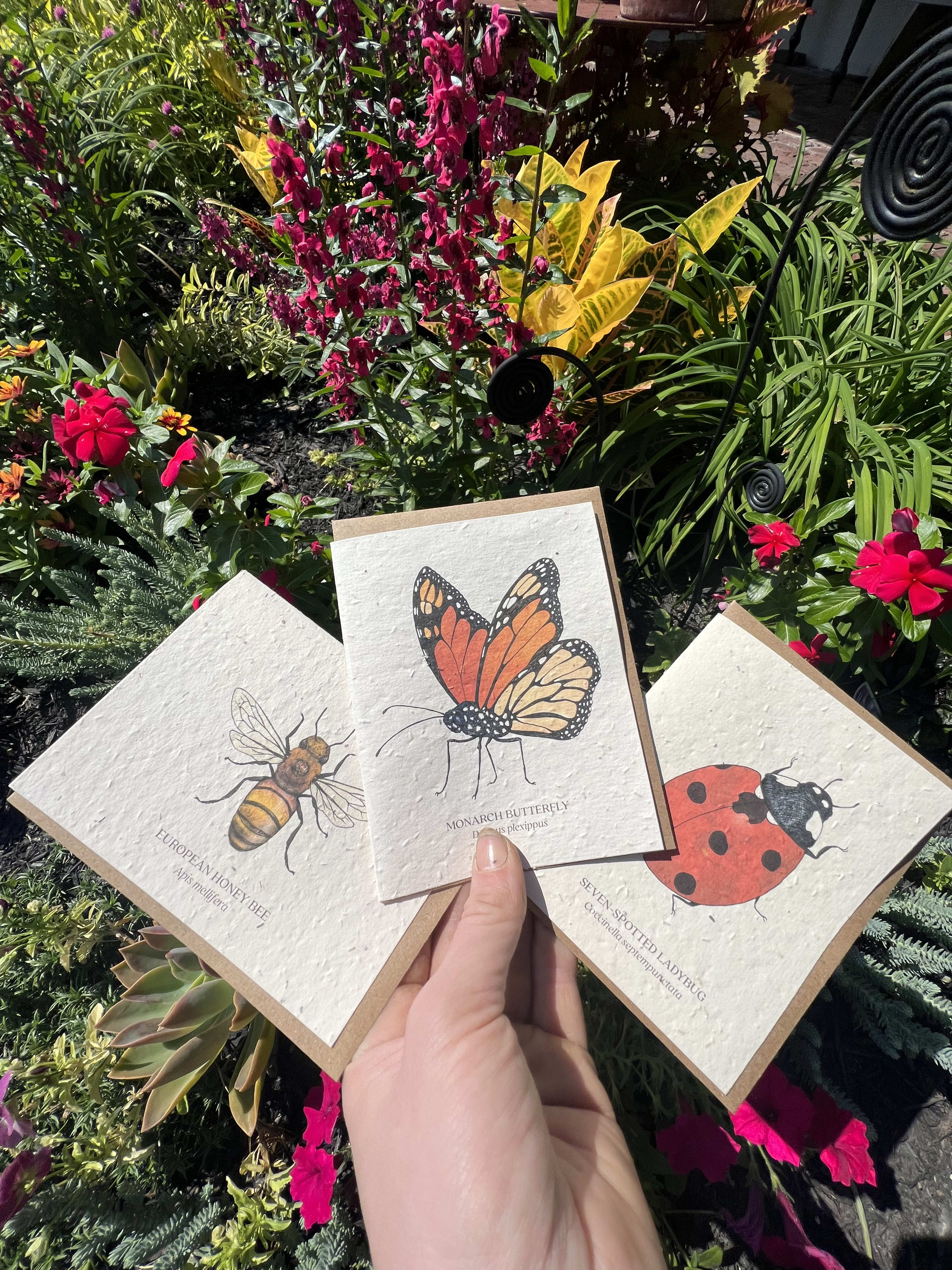Plantable Seed Card- Beneficial Insects Plantable Seed Card- Beneficial Insects - Beneficial Insects- please indicate in the order notes which card you would like.