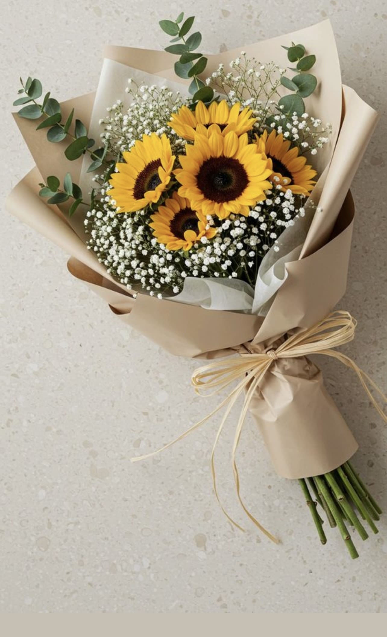 Sunflower and gypsophila - sunflowers and gypsophila, a touch of impossible eucalyptus