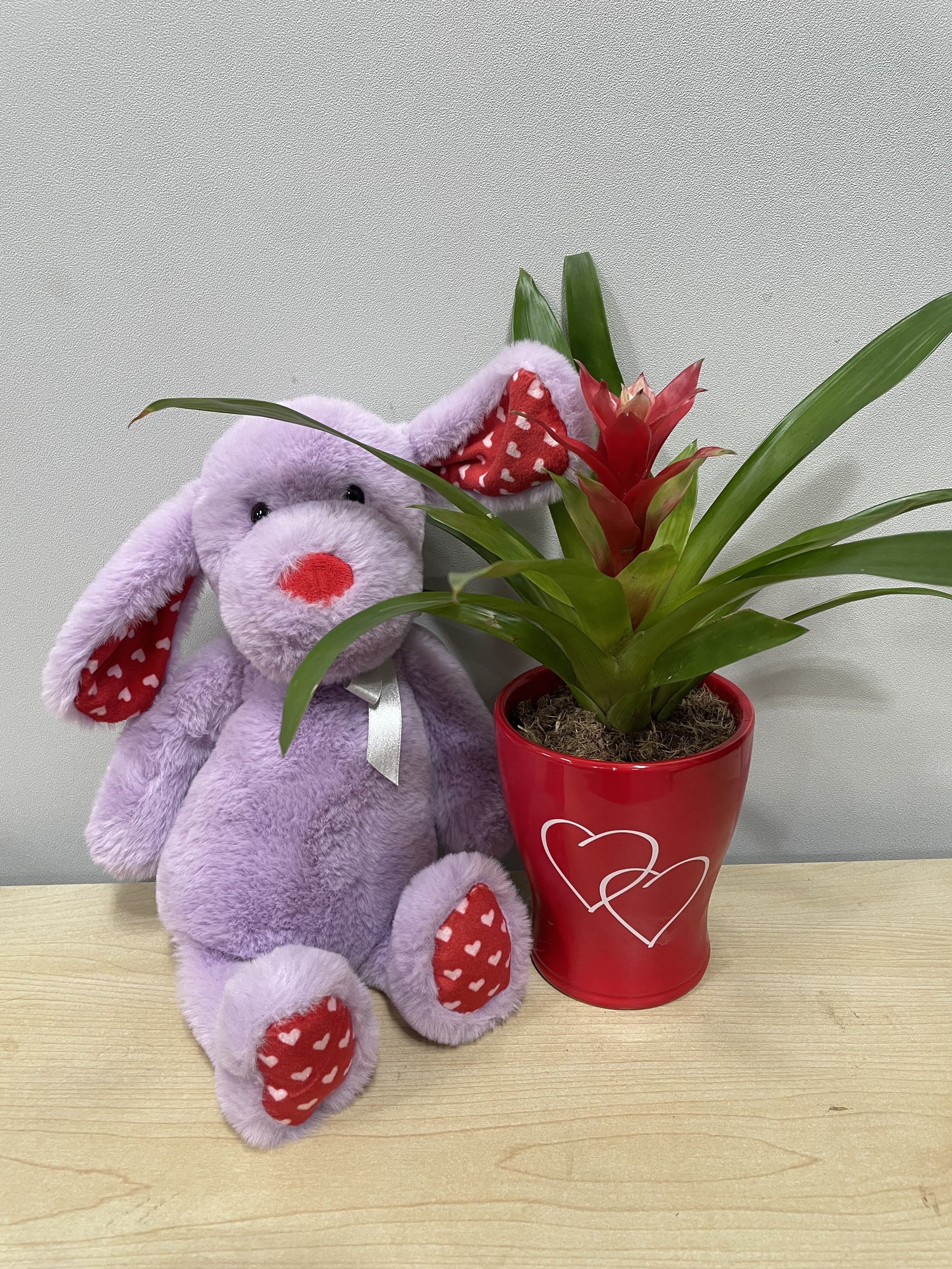 Hearts Bromeliad & Lavender Puppy Hearts Bromeliad & Lavender Puppy - As shown