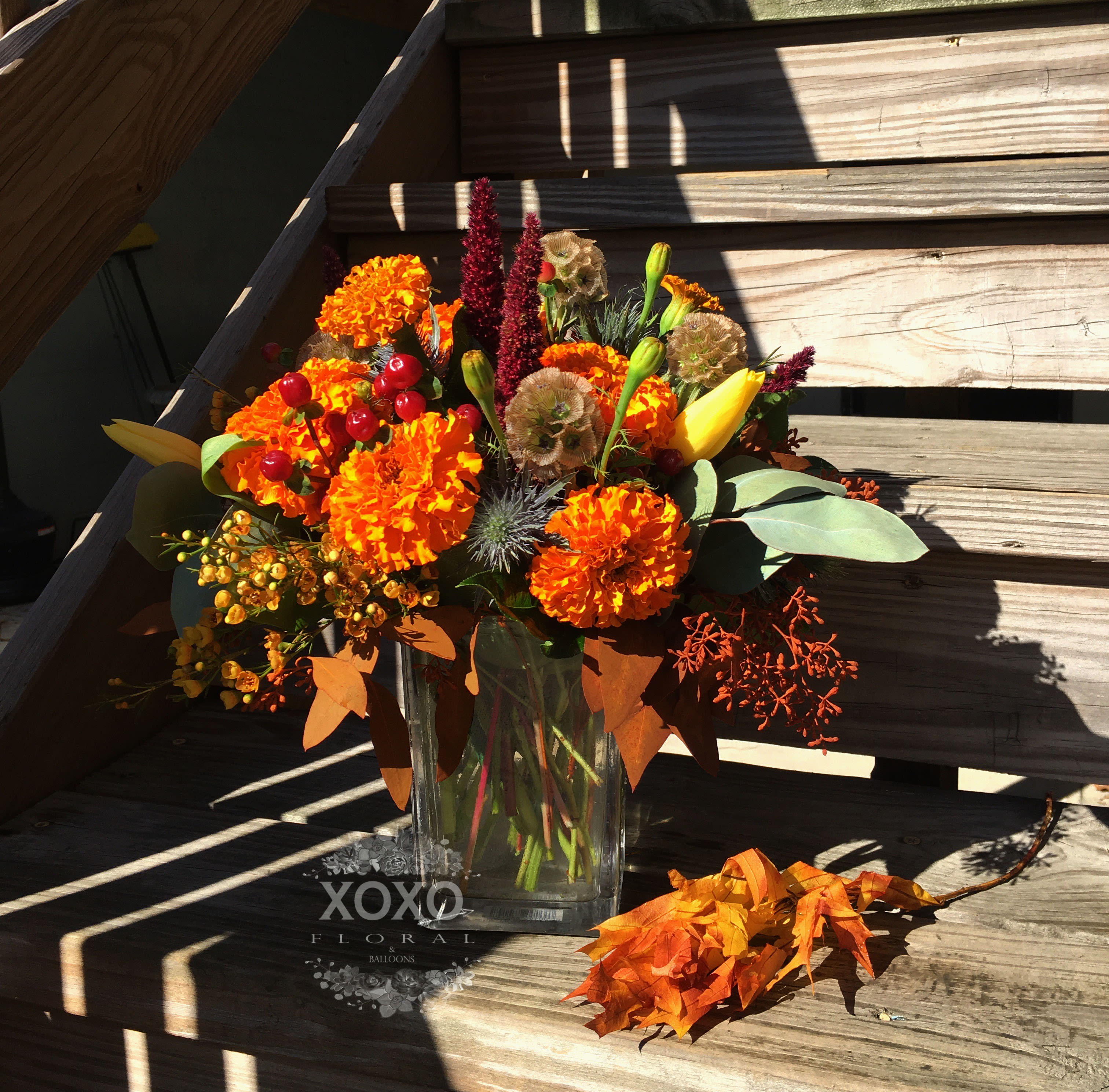Ooh la-la Marigolds... - Celebrate the season with Marigolds