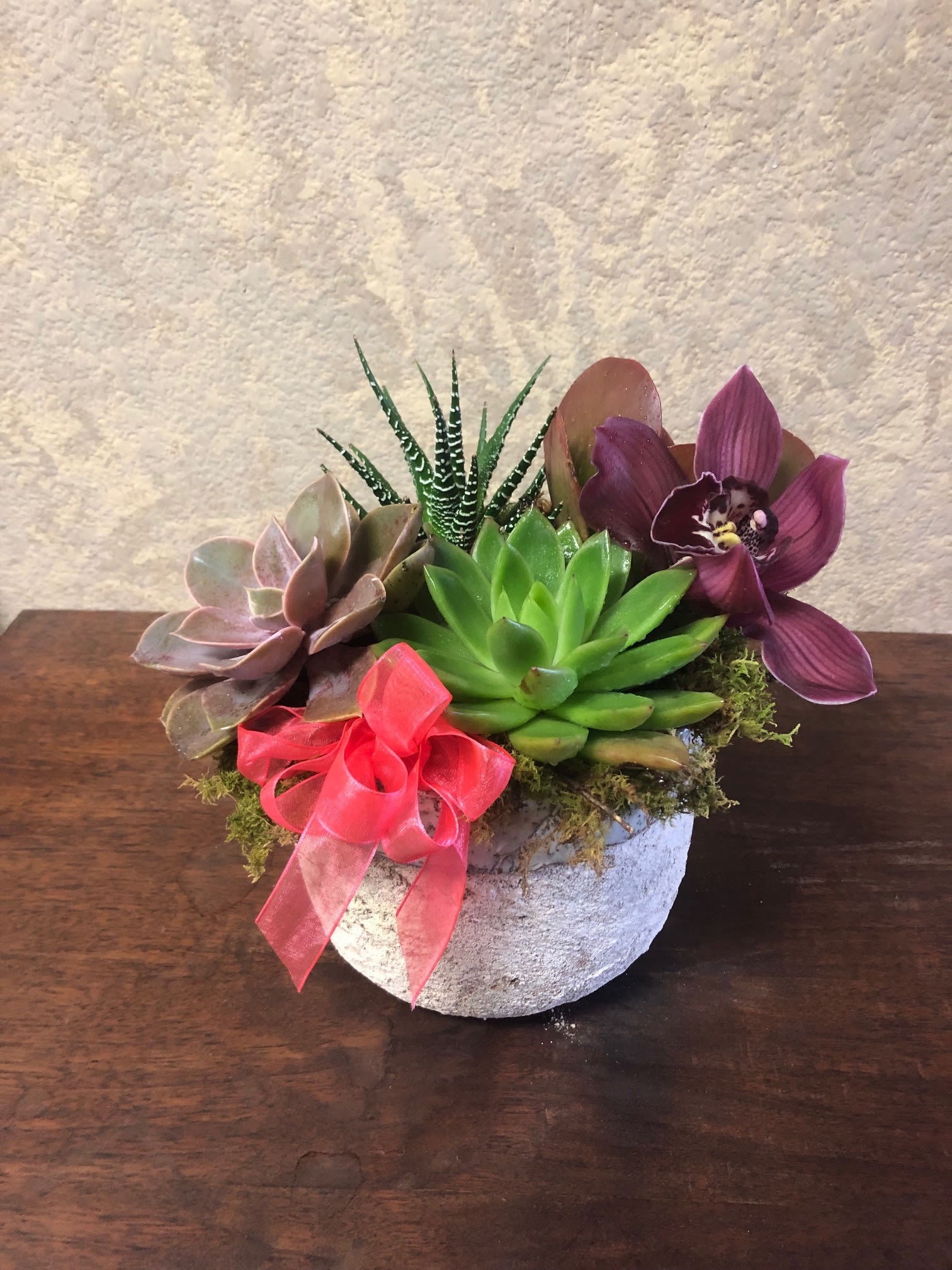 Succulent Dish with Fresh Cut Orchid - Types of Plant and Flower: 4 different types of succulents with a dendrobium orchid and bow in a ceramic pot. Availability: All year round Substitute Available: Yes Design View: Symmetric Front Facing View Photo shown: Regular